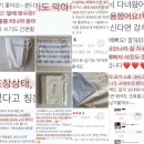 윤돌숲