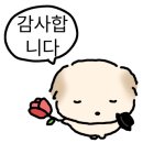 유어제이(yourj)