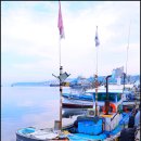 강릉시수산업협동조합 수산물직매장 | 강원도 묵호여행 묵호항활어센터 묵호항수변공원 묵호 도째비골 해랑전망대 묵호방파제