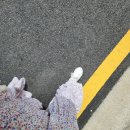 Pink Pong Pong | 오일페 후기 ／ 일러스트페어 ／ 세종대학교 광개토관