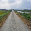 원두천 2 네이버블로그