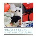 성심편의점 | 아데노이드 수술 입원 준비물 7세 아이 보호자 — 2박 3일 강동성심병원 후기