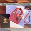 레이디올 이미지