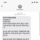 한국지식재산보호원 이미지