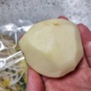 가미정샤보리 이미지