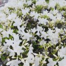 혁진크린 이미지