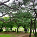 (주)에이스환경 이미지