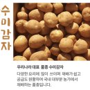 시냇물 농장 이미지