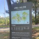 국립소록도병원 한센병박물관(휴관) | [고흥여행] 국립소록도병원 한센병박물관 방문후기 / 주차장 운영정보