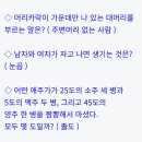 넌센스 Daum카페