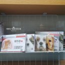 영종도 동물약국 이미지