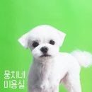 뭉치네 미용실 이미지