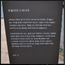 경기 명소순례 : 두물머리..둘이서 하나되는 곳 이미지