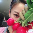 테라팜