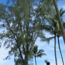 나우행정사 이미지