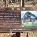 (3/16) 속리산 산행. 법주사 탐방합니다. 이미지