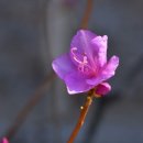 고산 구시장 상점가 이미지