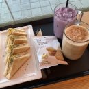 롤스커피 - 동대문구 청계천로 483 | 덕정역카페 롤스커피 덕정점 토스트 맛집