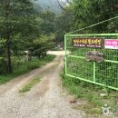 만산수목원 티스토리
