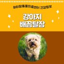 아이맘동물의료센터 이미지