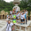 정무태권도 이미지