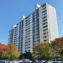 아름담피부과의원 이미지