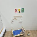 와다다 펫 그루밍 이미지