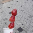 달콤왕가탕후루죽전역점 이미지