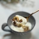 첨담기업1로1L-20 | 그릭요거트스타터 사용법 유산균 스타터만들기