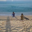 겨울바다 이미지