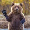 이쁘니PC 이미지