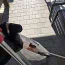 소공공원 이미지