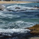 바다정원민박 이미지