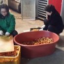 은자농장 이미지