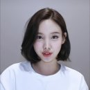소담 이미지