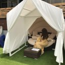 도우민박 이미지