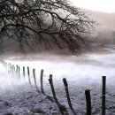 해뜨는집 이미지