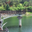 안동 월영교(月映橋) 뜻 안동민속박물관 안동민속촌 당일치기여행 후기