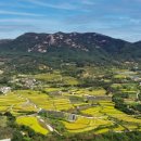 영빈 축산 이미지