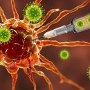 강남한방병원 이미지