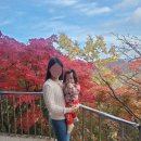 무인텔 캐슬 | [정읍, 장성] 241108~09