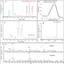 Re: 빌리루빈 항산화 항염증효과!! 2016 nature!! 이미지