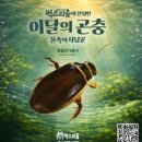 옥구어린이집 | 16개월 아기랑 시흥 벅스리움 다녀온 솔직후기