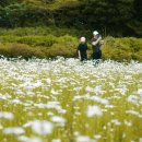 제19회 설문대할망 페스티벌 이미지