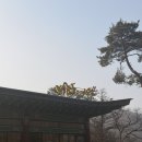 남도예담IN벨포레 | 증평] 남도예담, 브리스킷346 - 벨포레 리조트 맛집...바베큐 플래터 내돈내산 가족여행 내돈내산 후기