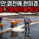 “한국에서 리튬 호수라니..” 전남 신안 천일염 염전에서 발견한 리튬, 과학자들 경악 이미지