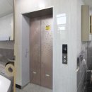 비버리 힐 이미지