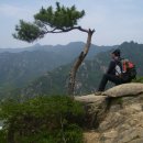 고향산천 Daum카페