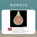 장수불교사
