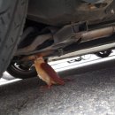 더 칸헤어샾